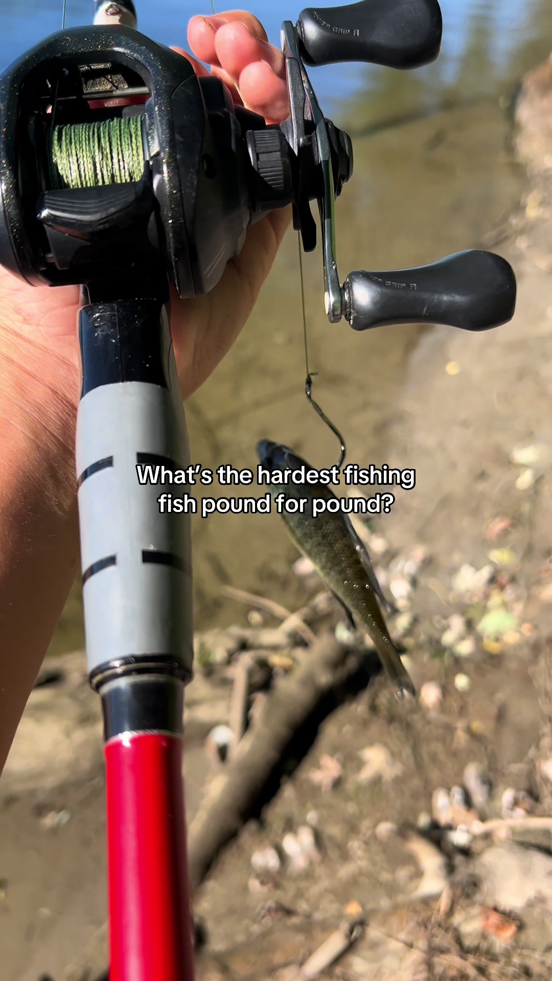 @Joey fishing_860