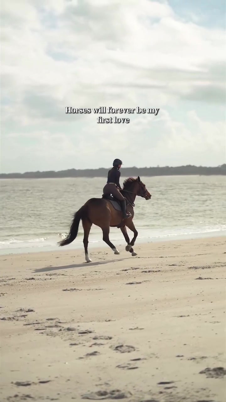 @Free Ride Equestrian