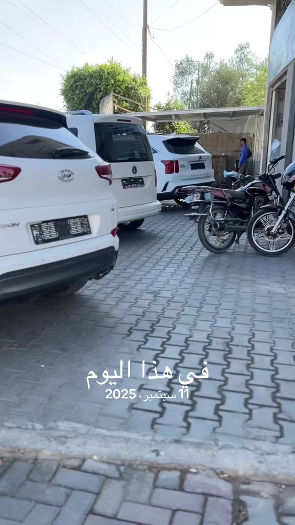 @شريف ابو مسعود