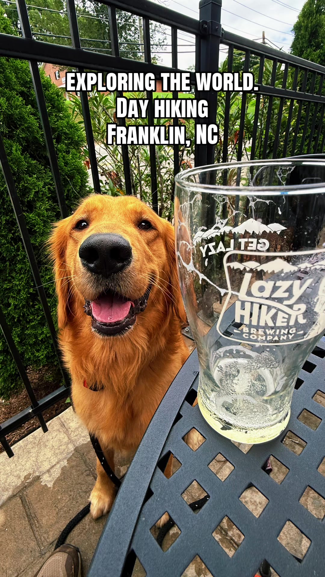@Charlie the Golden