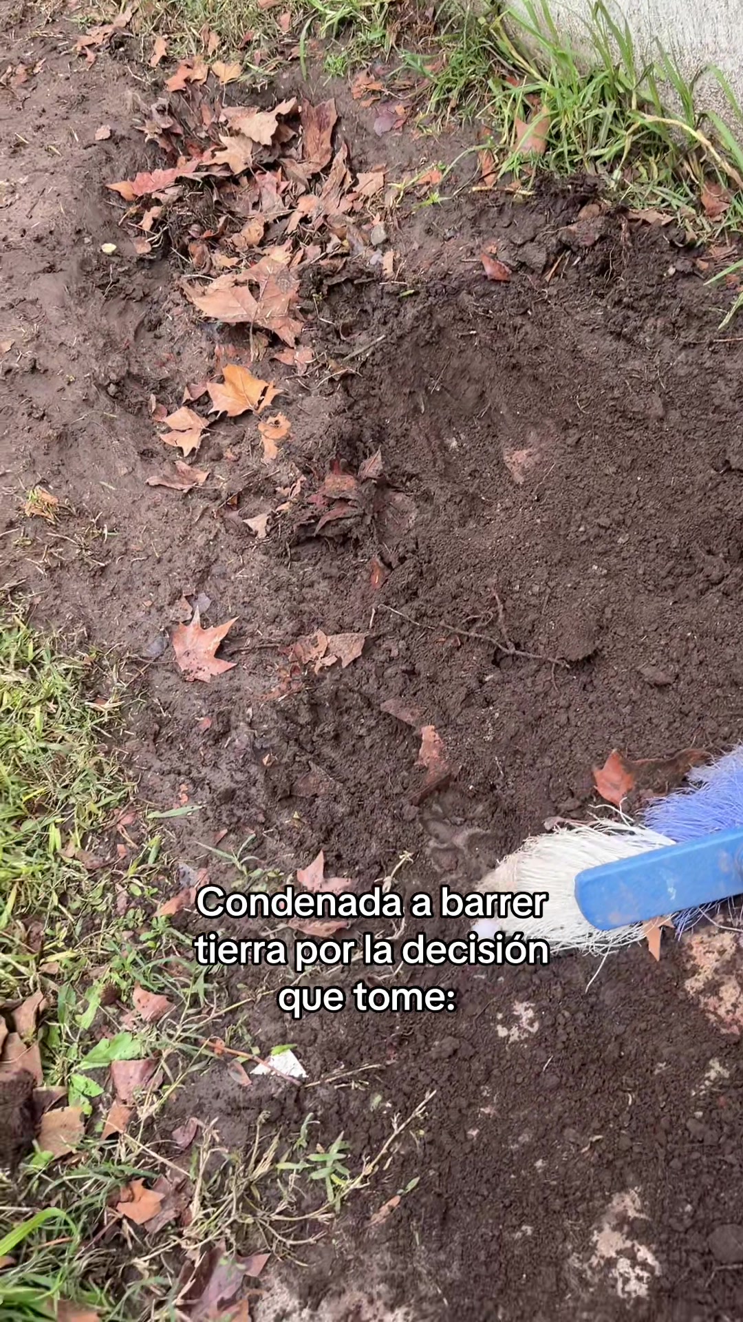 @Narco🐕🐾🐾