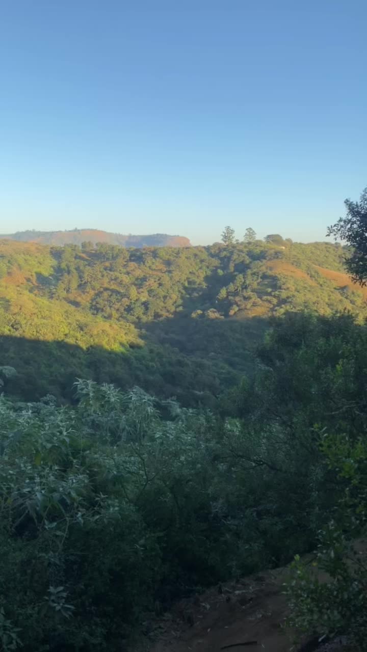 @Menzi Majola