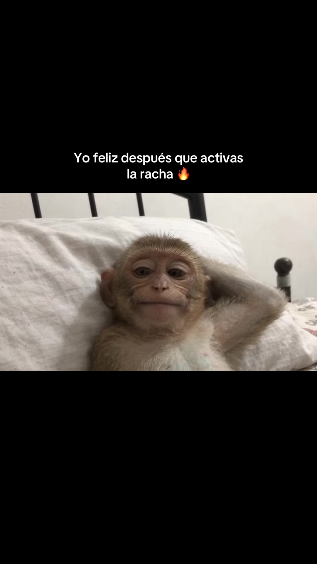 @RabPesito 🔥