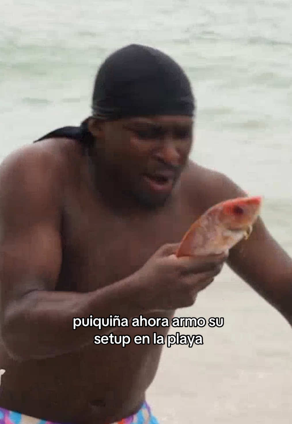 @KICK Español