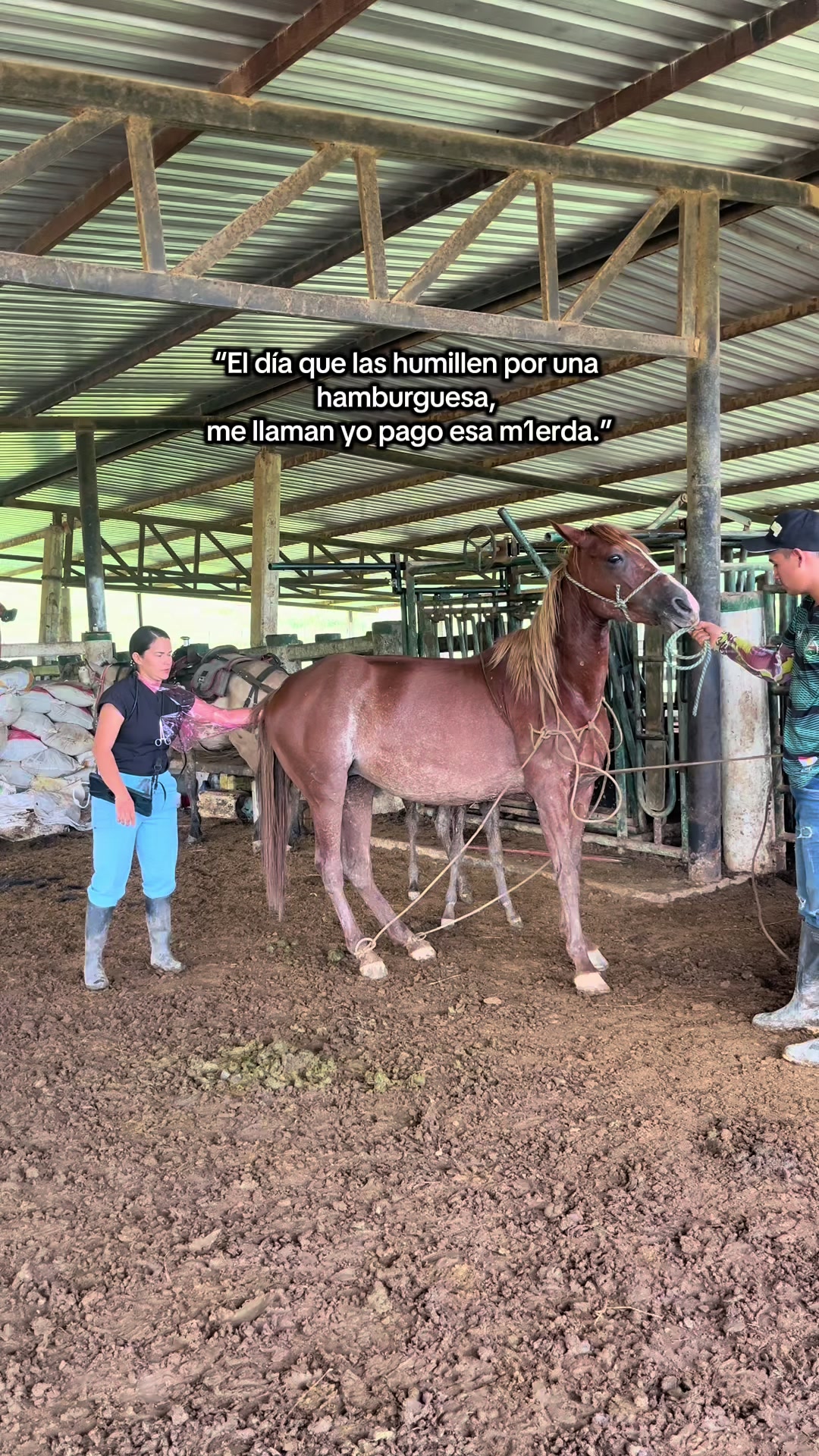 @Dra. Jessica Casas 👩🏻&zwj;⚕️🐴