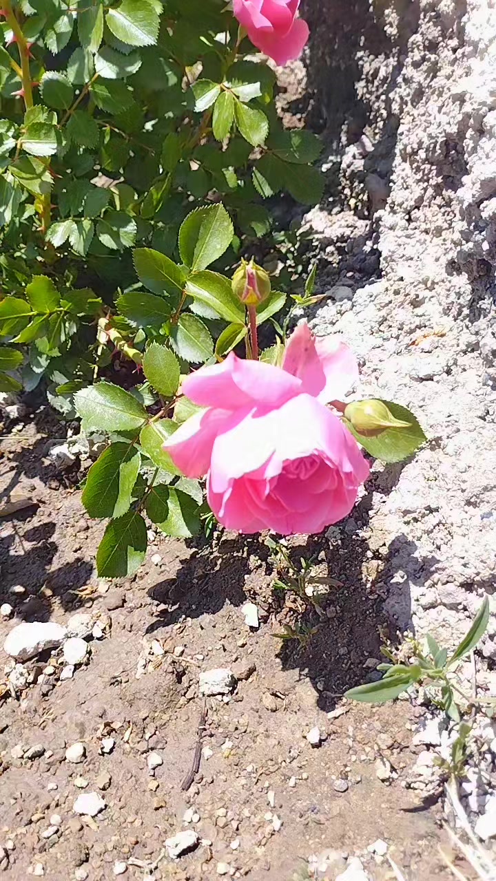 @Reyhan &ccedil;aKır🥀
