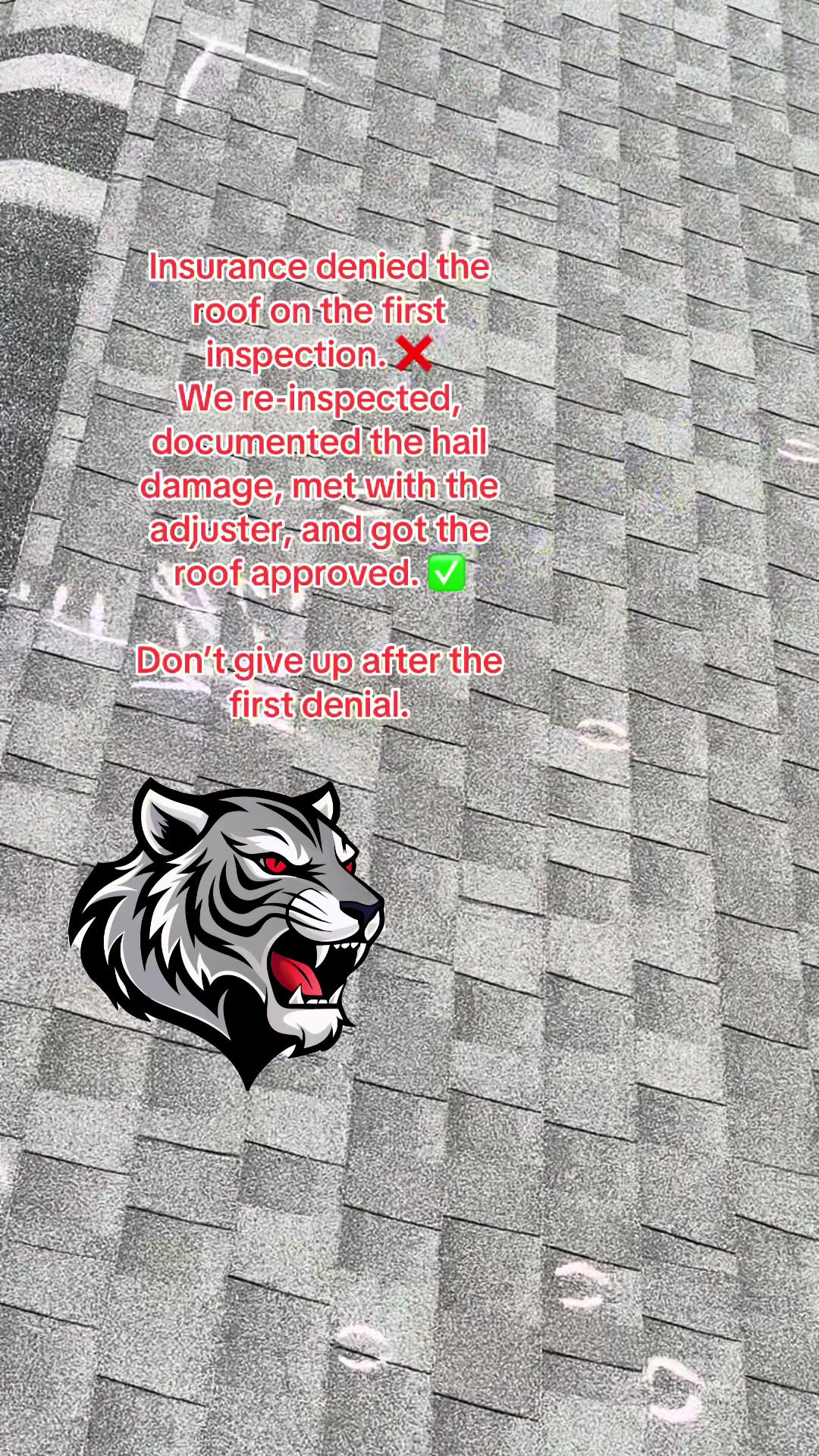 @willy✅