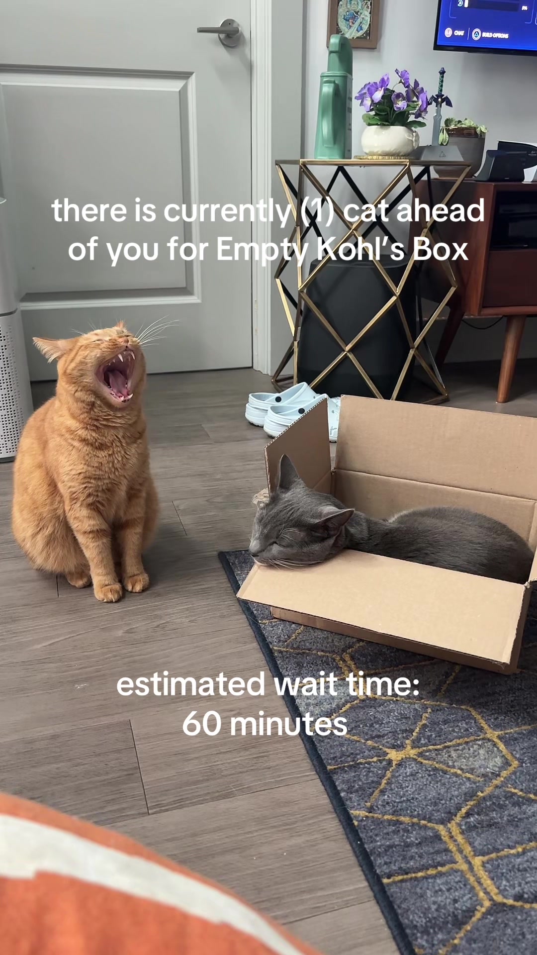 @cowboycatdad