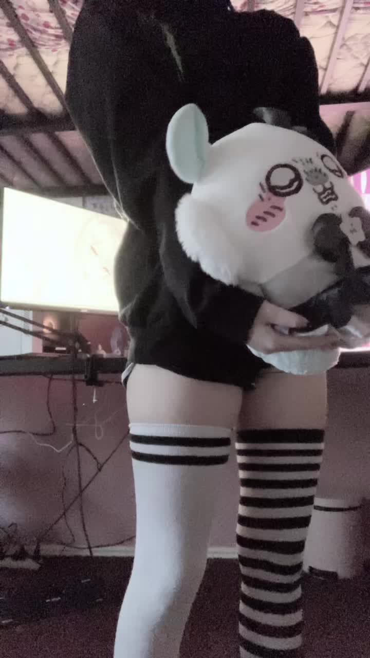 @sealpuppypaw_