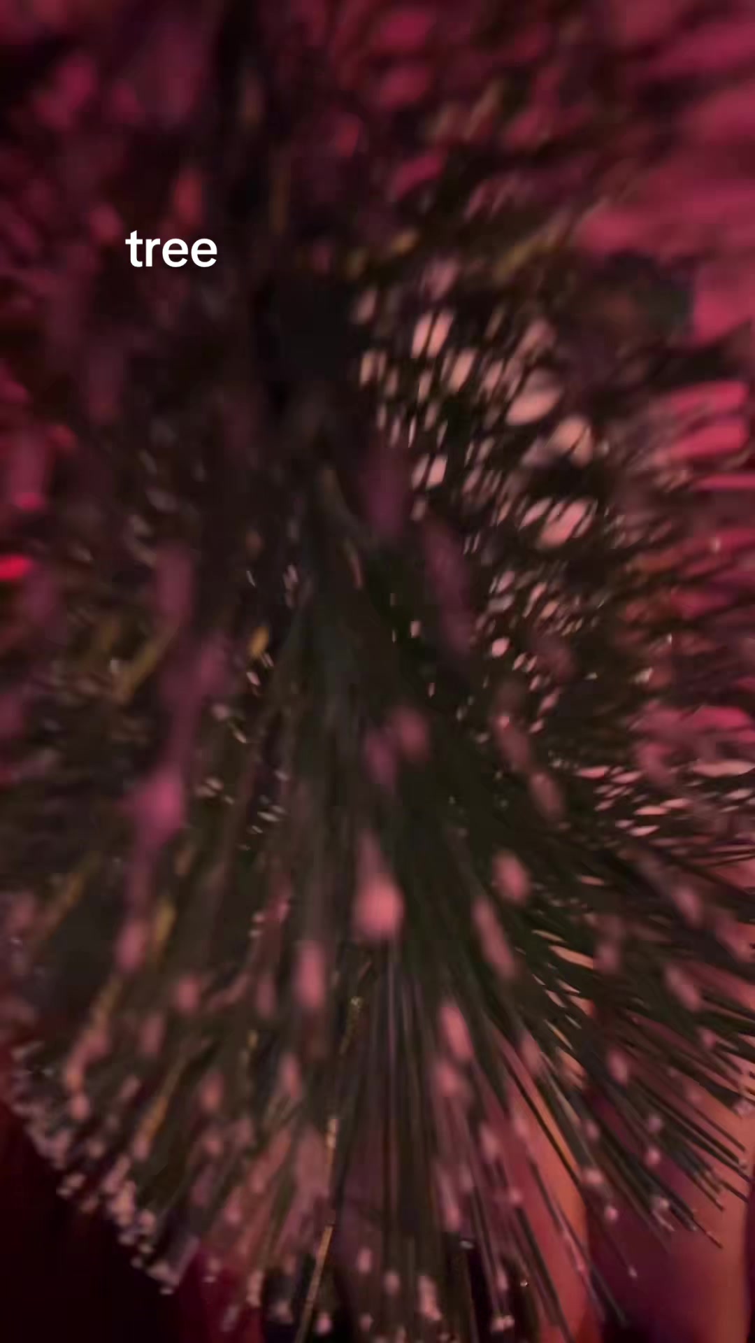 @dakota b asmr