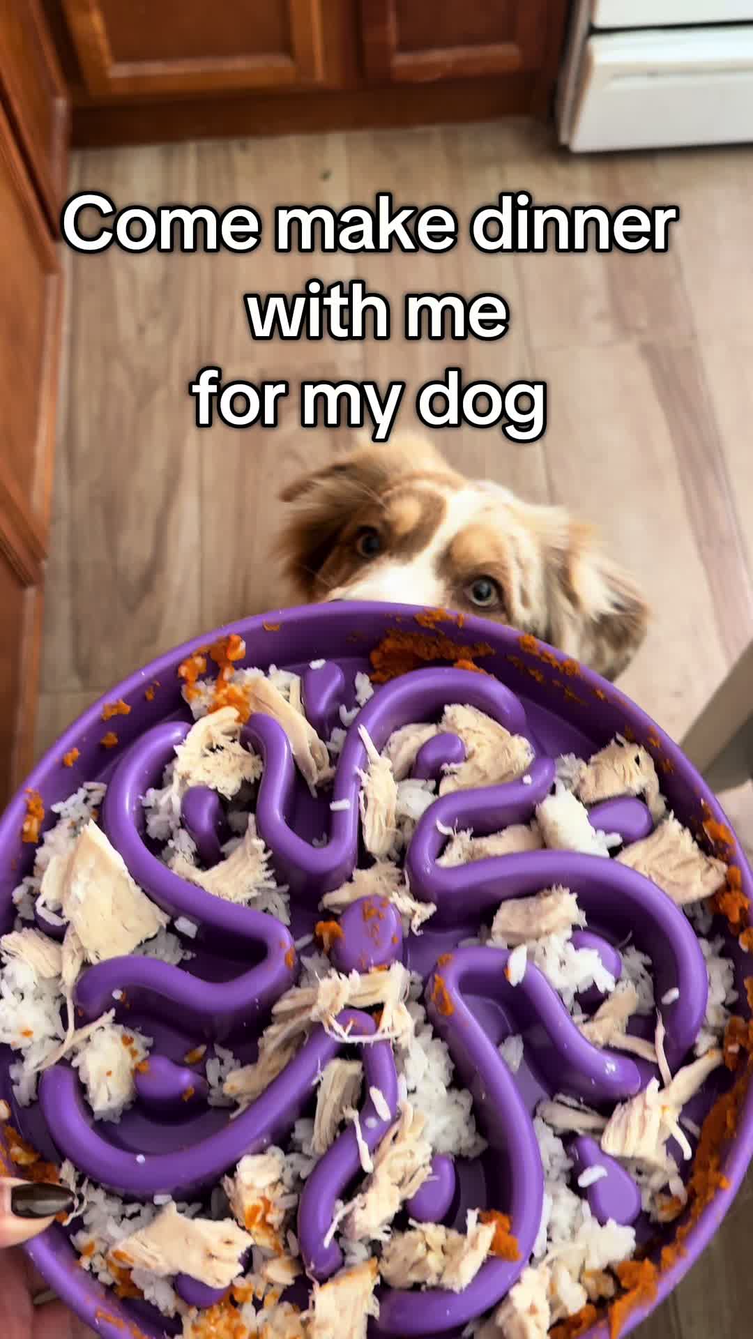 @Pretzel 🥨