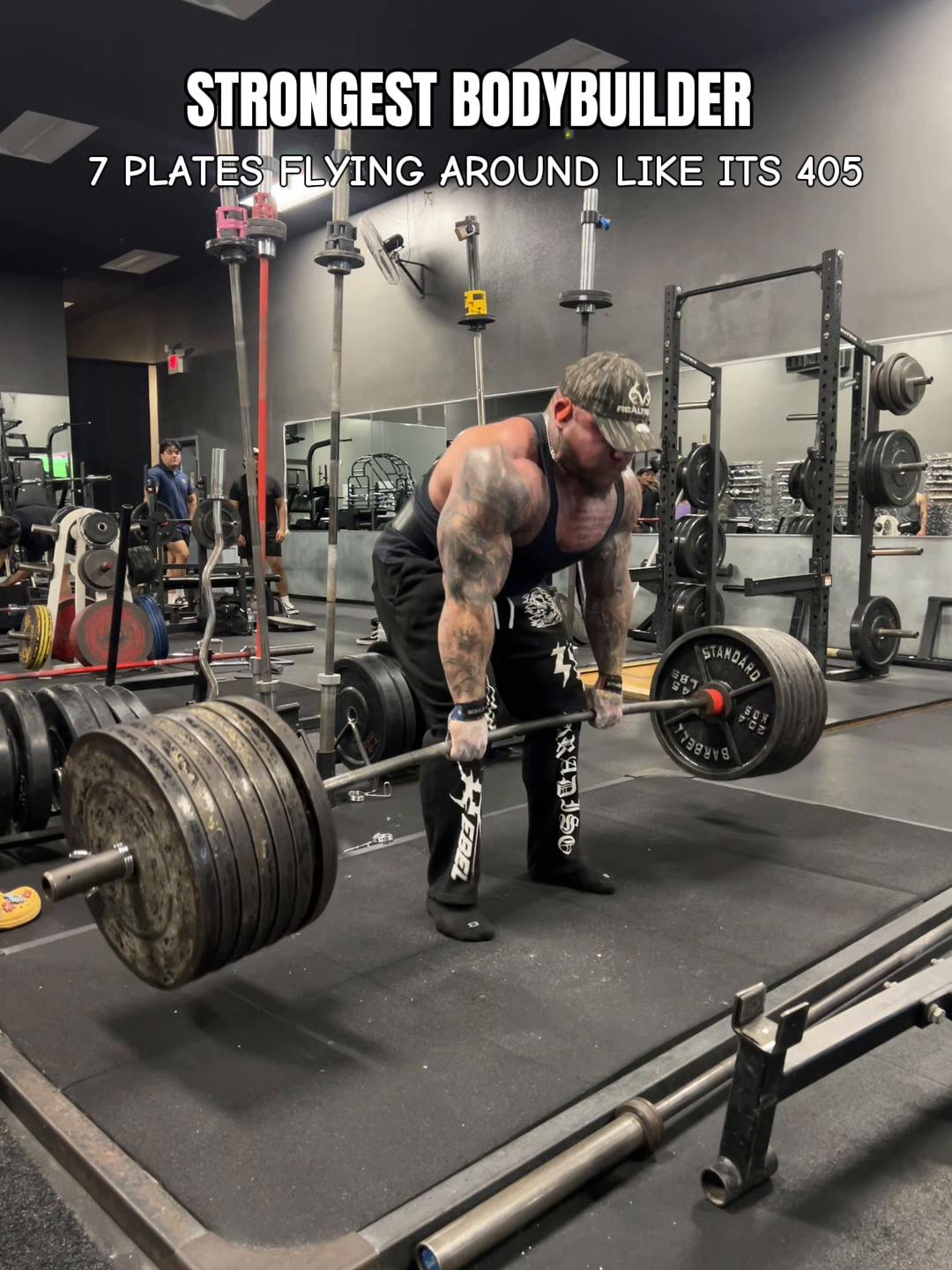 @GORILLA QUINN 🦍🇺🇸