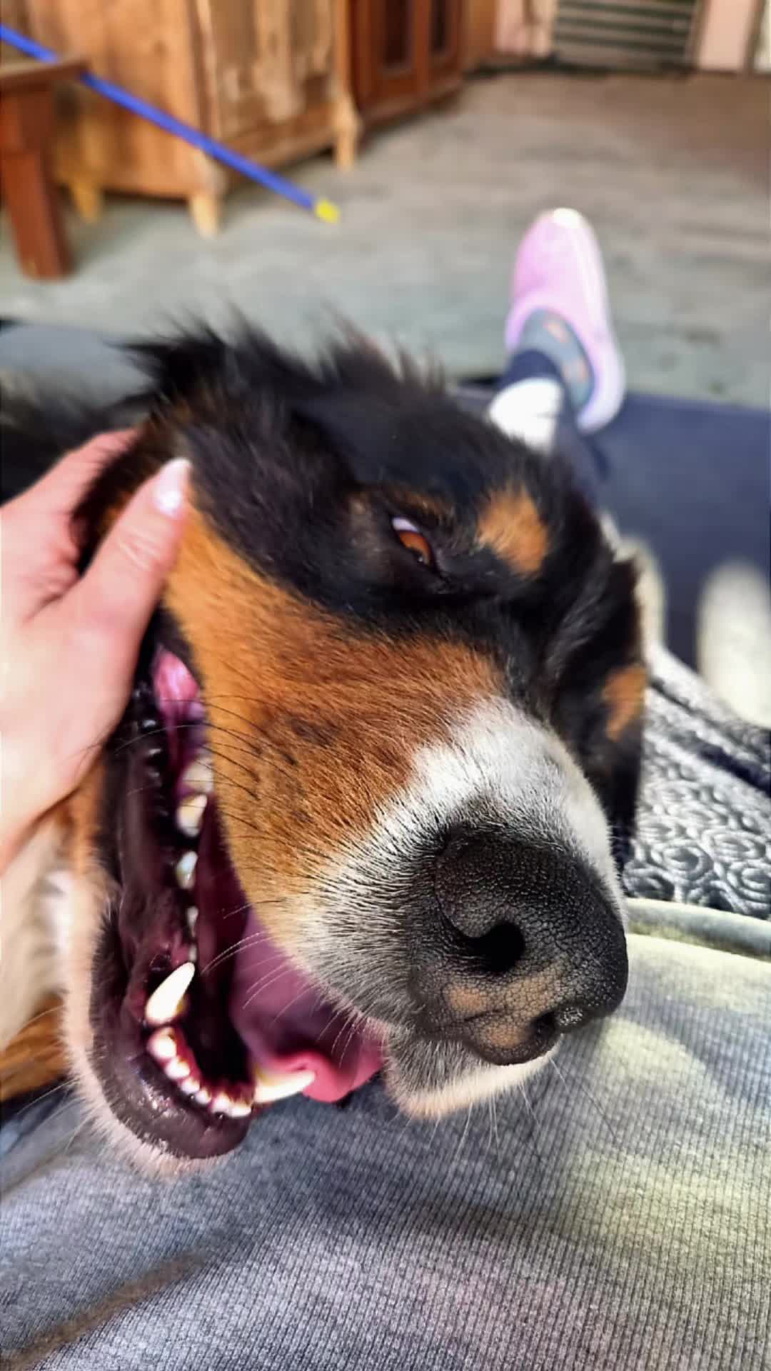 @berner.bruno