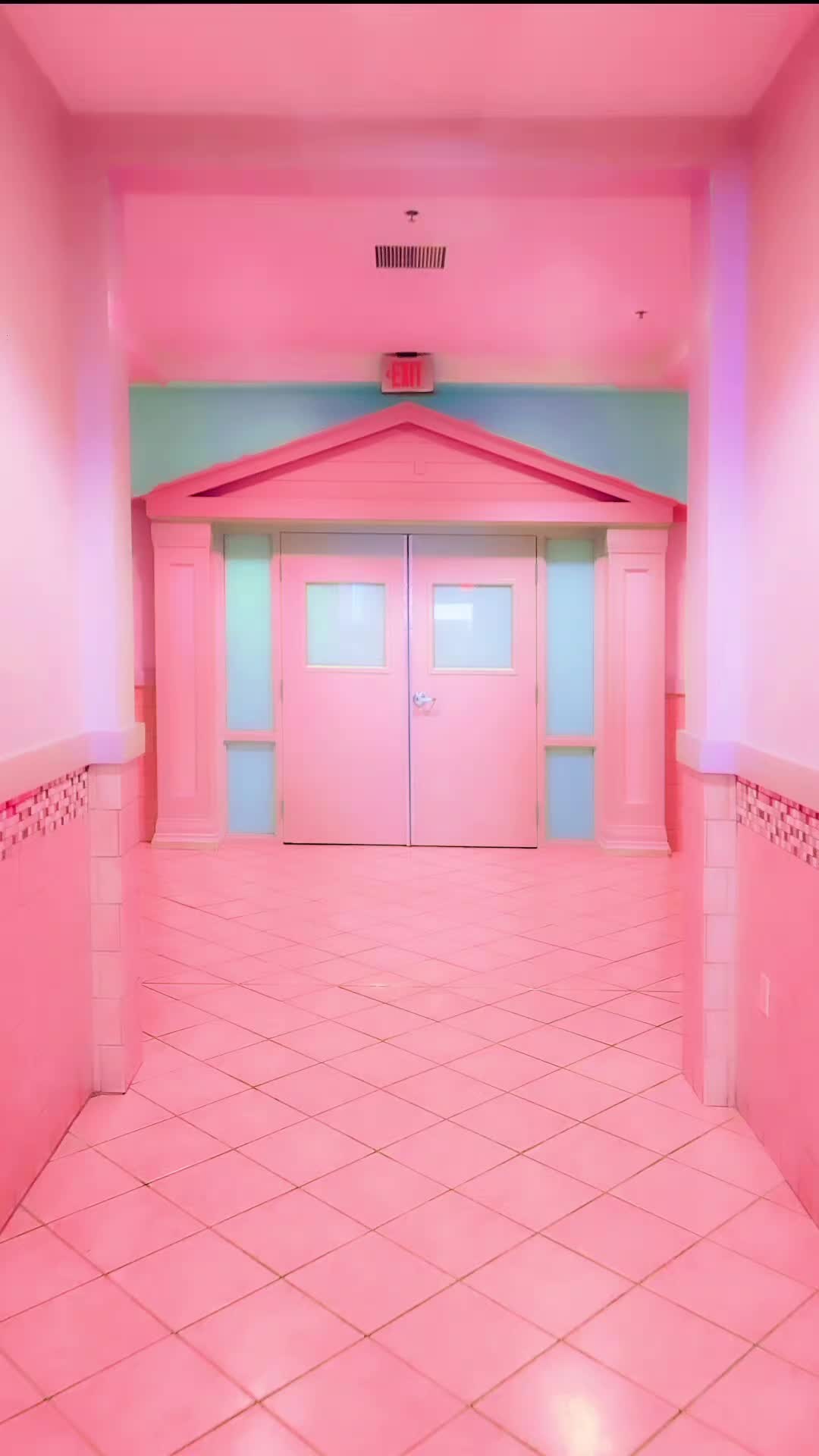 @Davin Del Amo