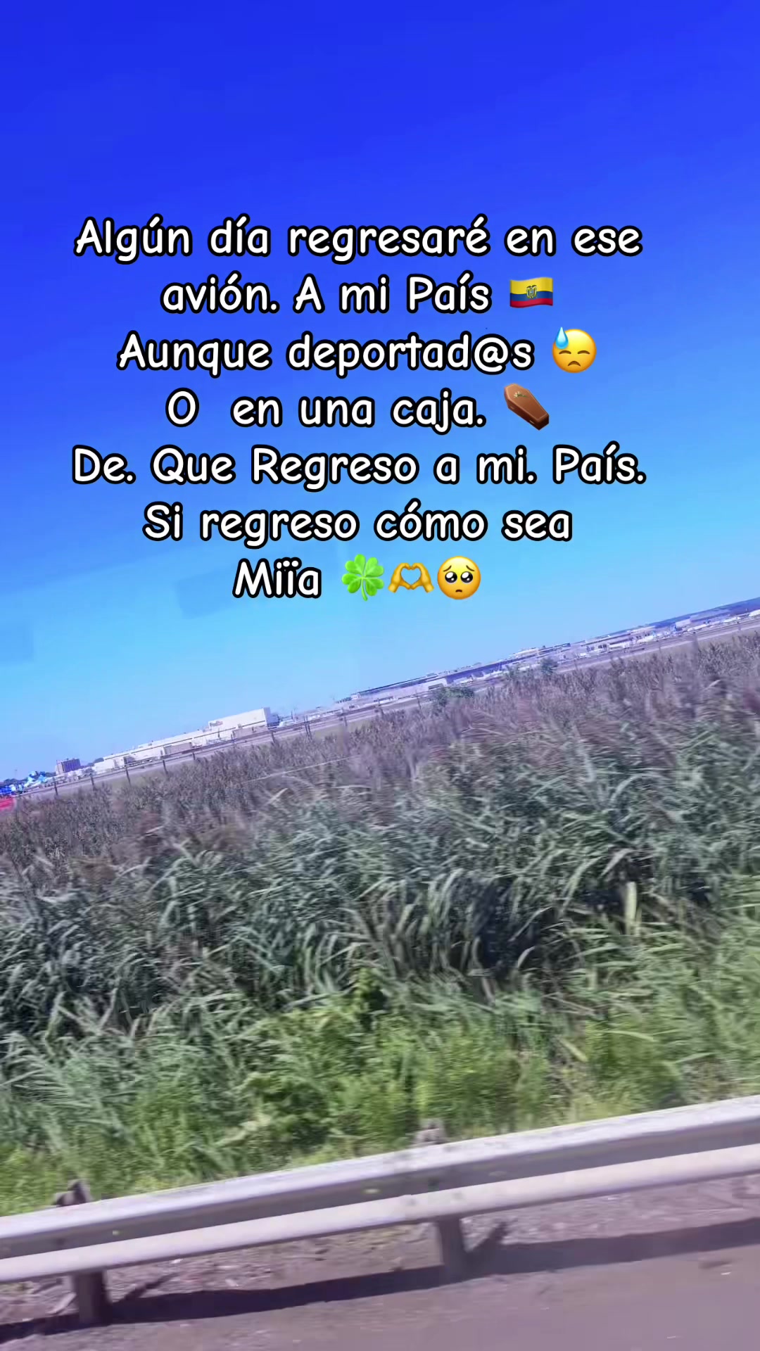 @🍀🐇Mi&iuml;a 🥀[M.L]2🕊️🖤