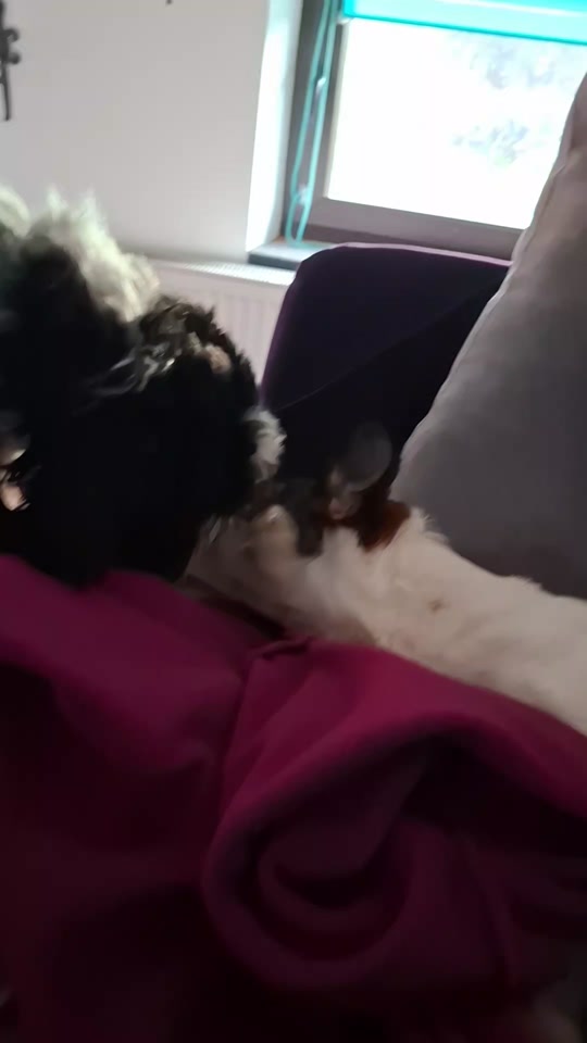 @Maya'sAbenteuer_HexeErinnerung