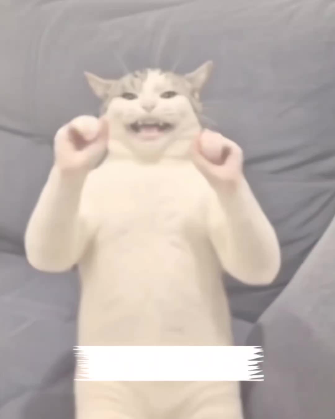 @My funny video