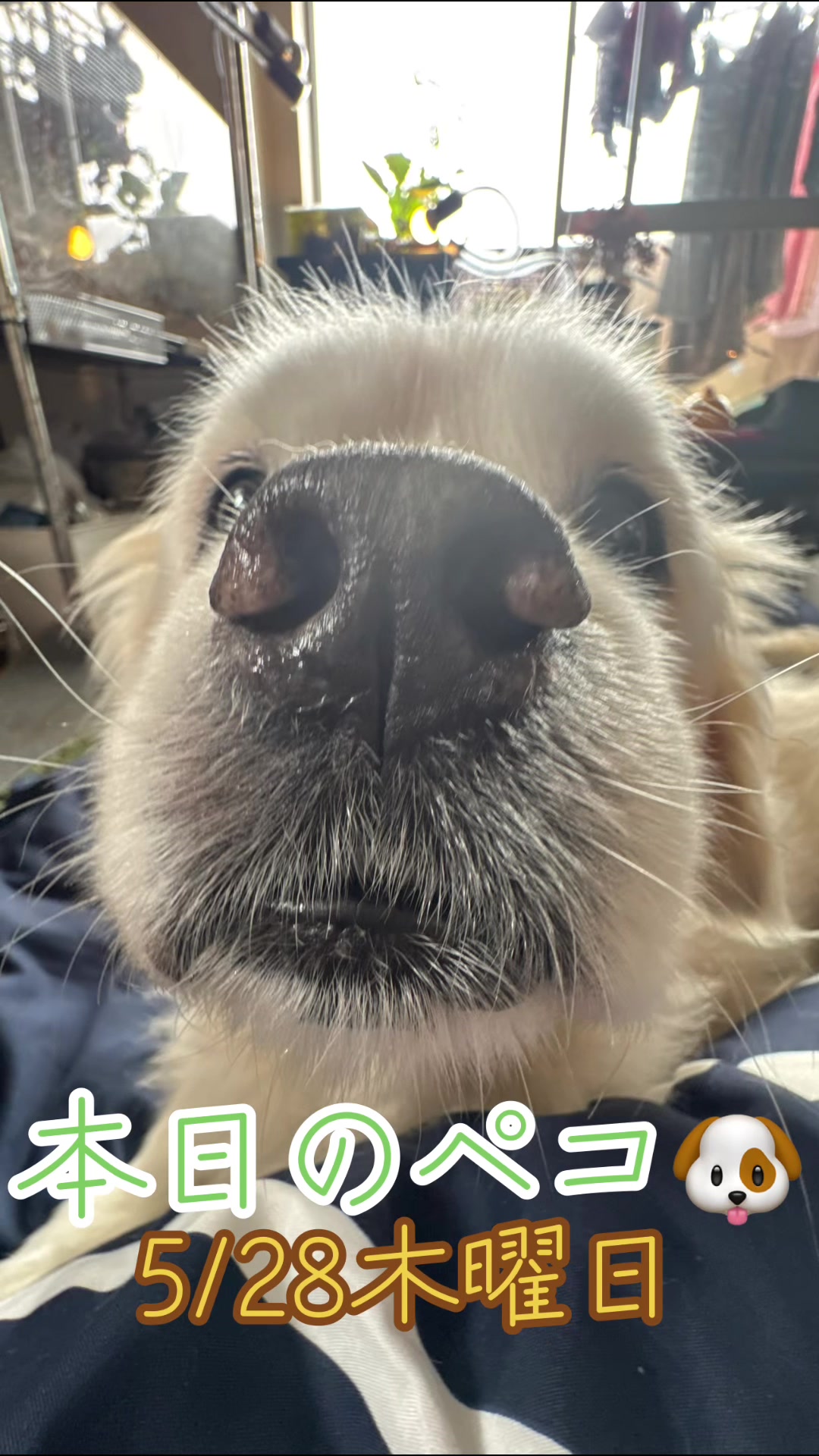 @オクラ