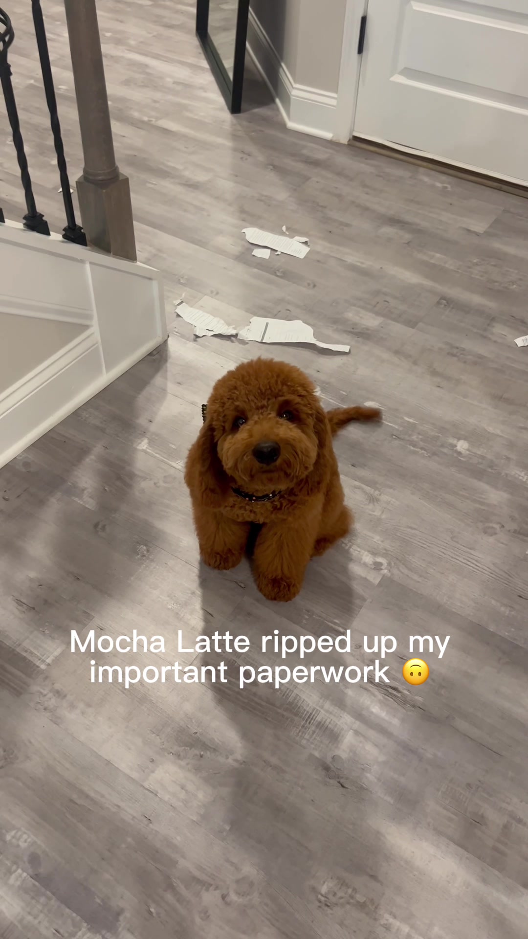 @LA Shay & Mocha Latte 🤞🏾