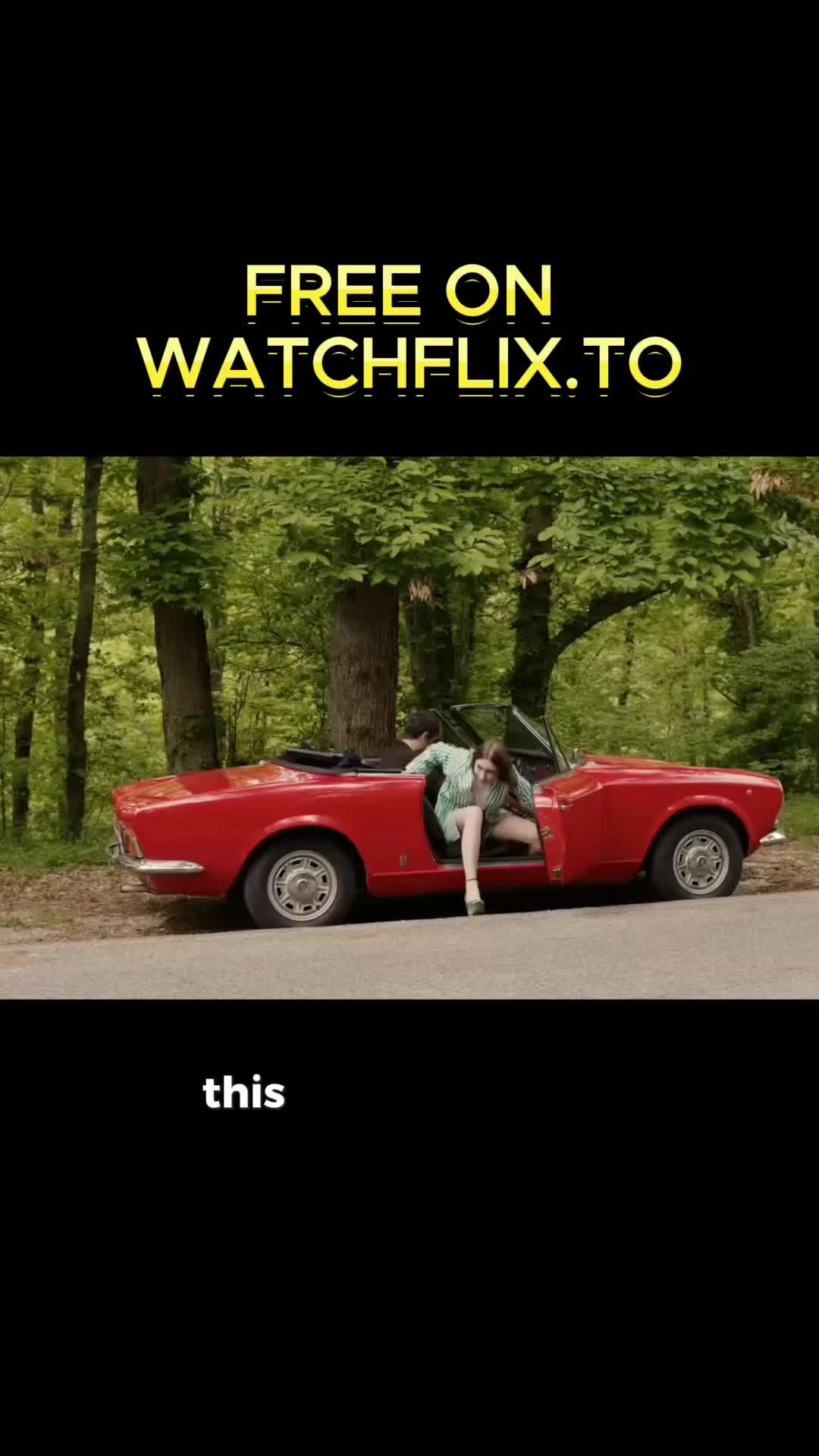 @turtle