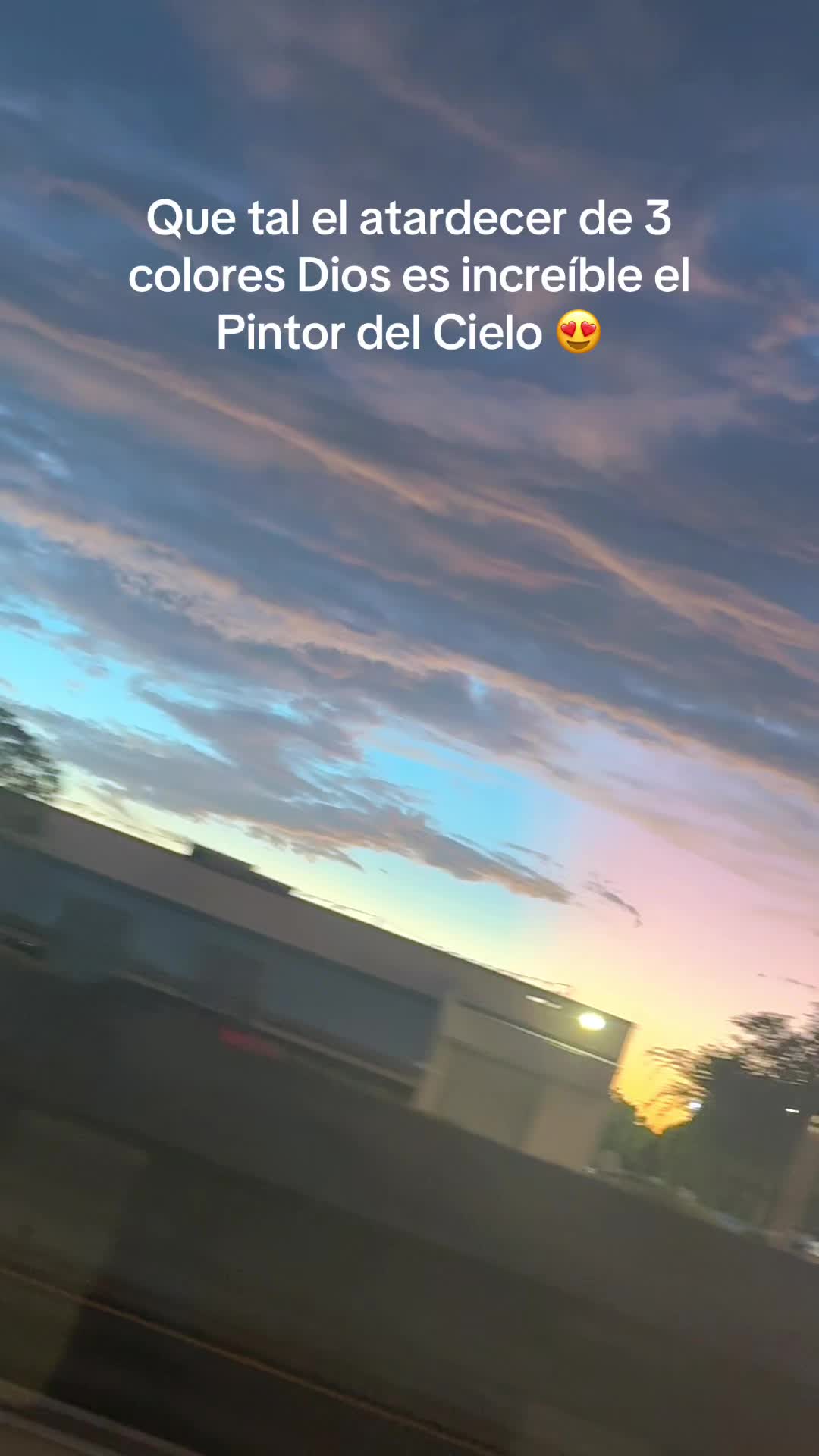 @viviacevedooficial