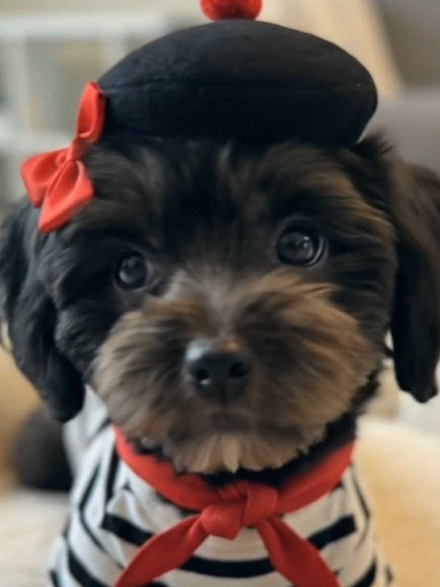 @TwinningThroughTheSeasons