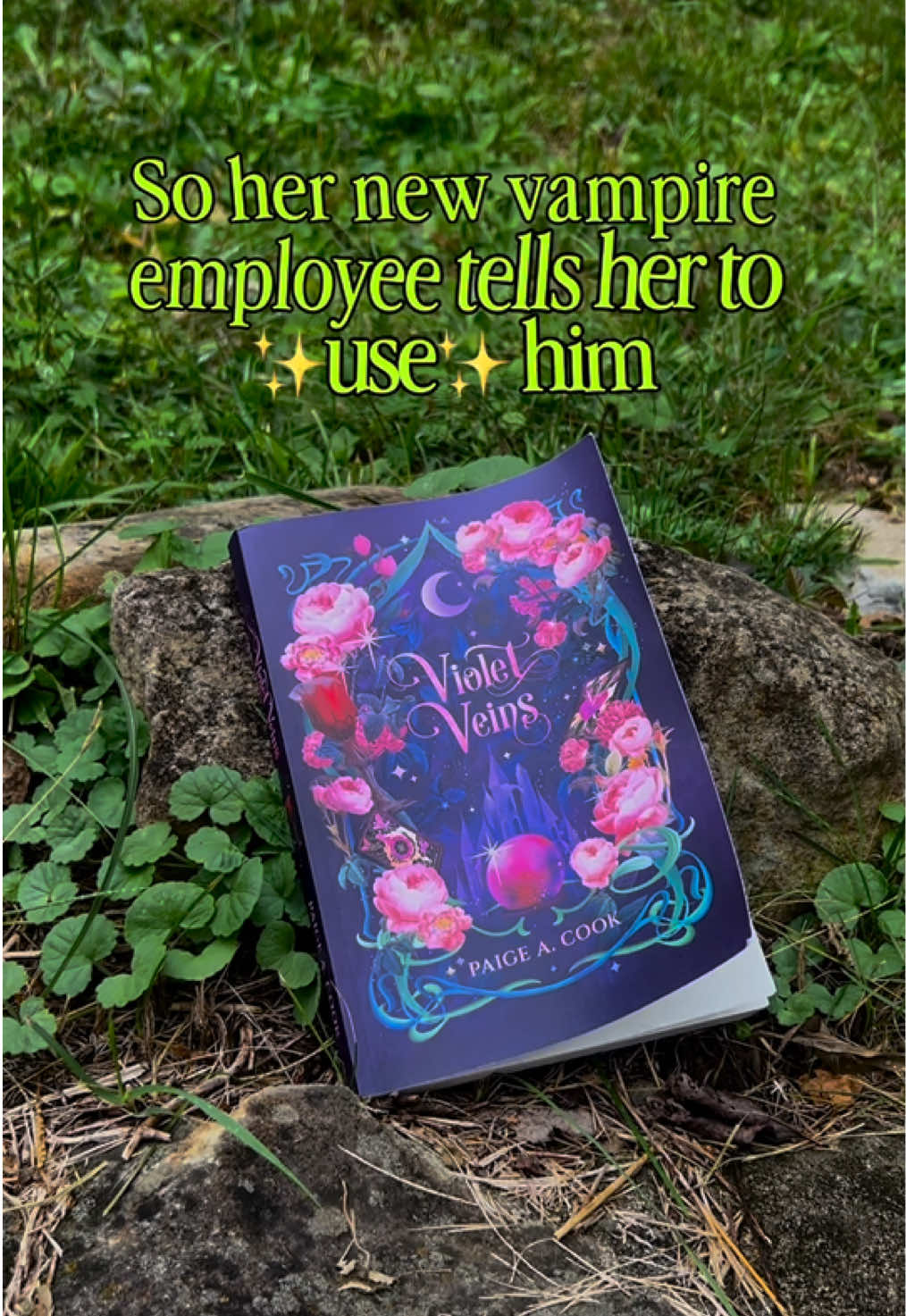 @Author Paige A. Cook