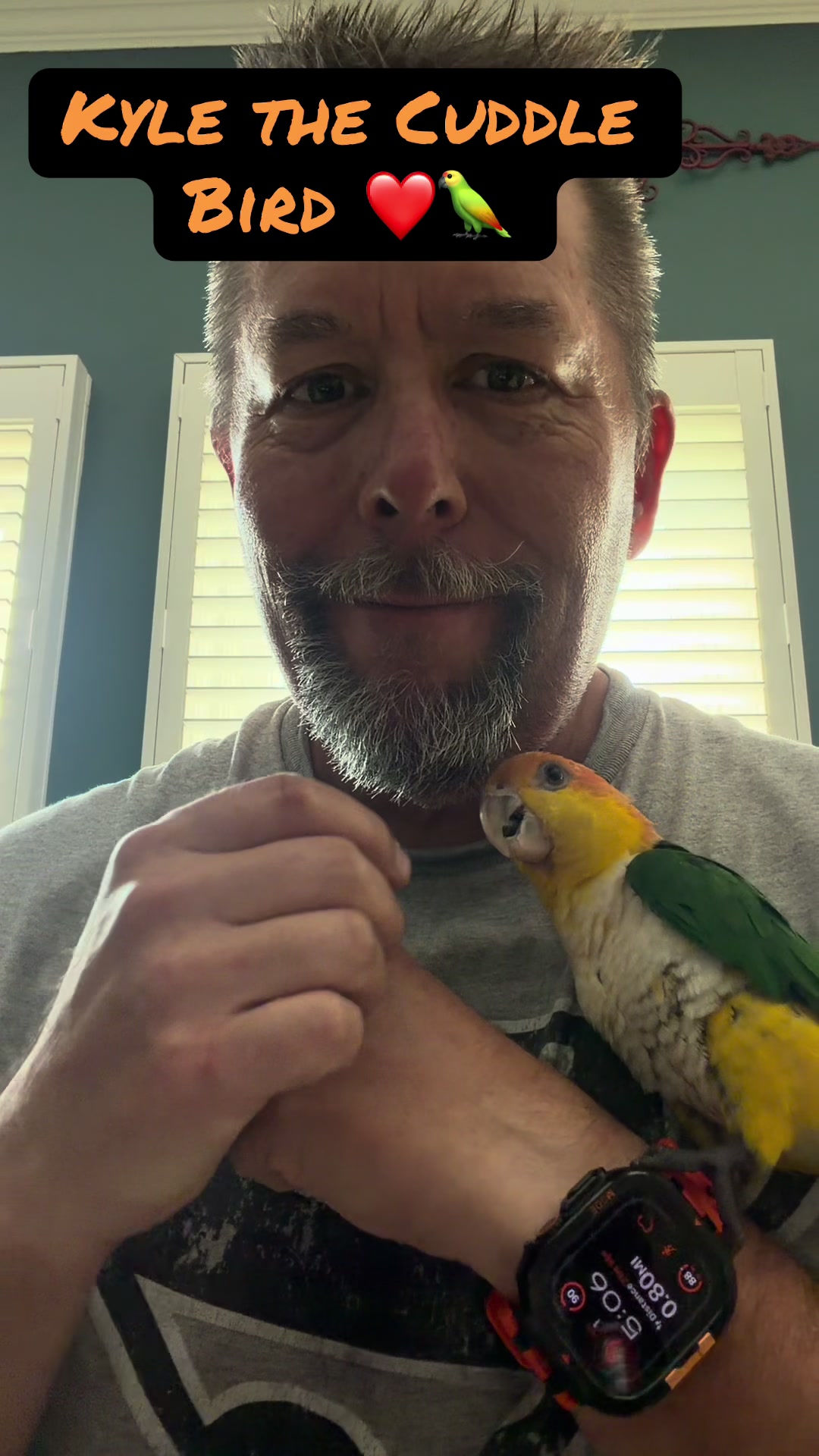 @Kyle The Caique