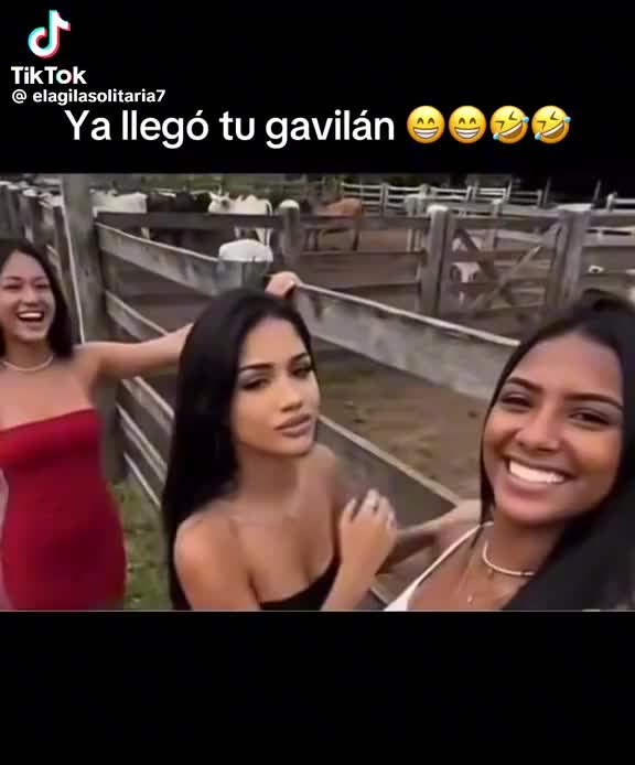 @alexisg1965