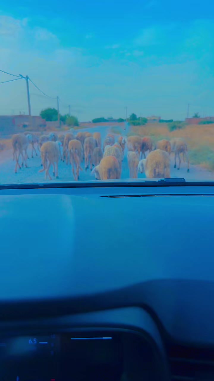 @wassimjad