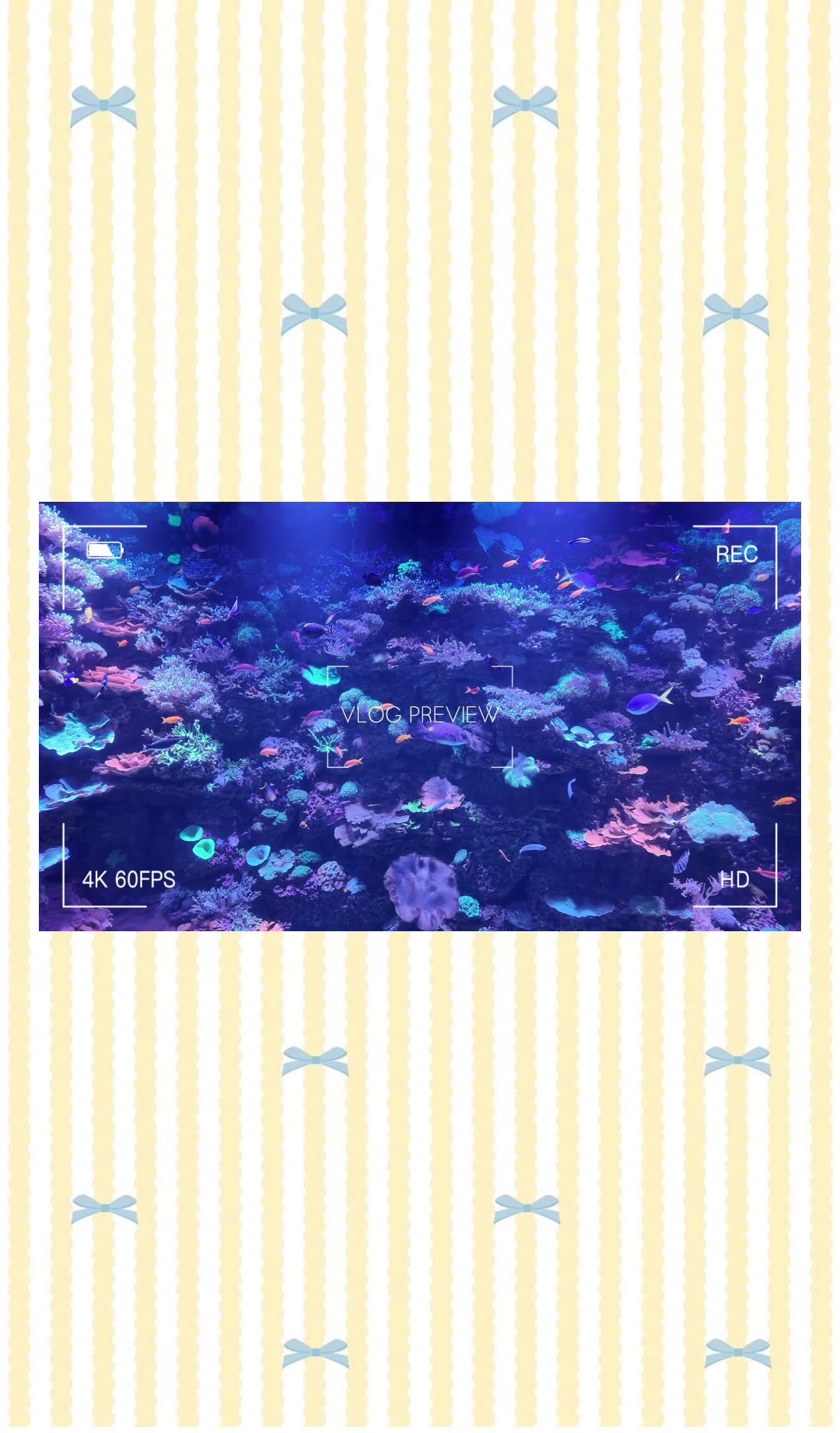 @jody | ᴡꜰʜᴍ + ʟɪꜰᴇꜱᴛʏʟᴇ ☁️✨