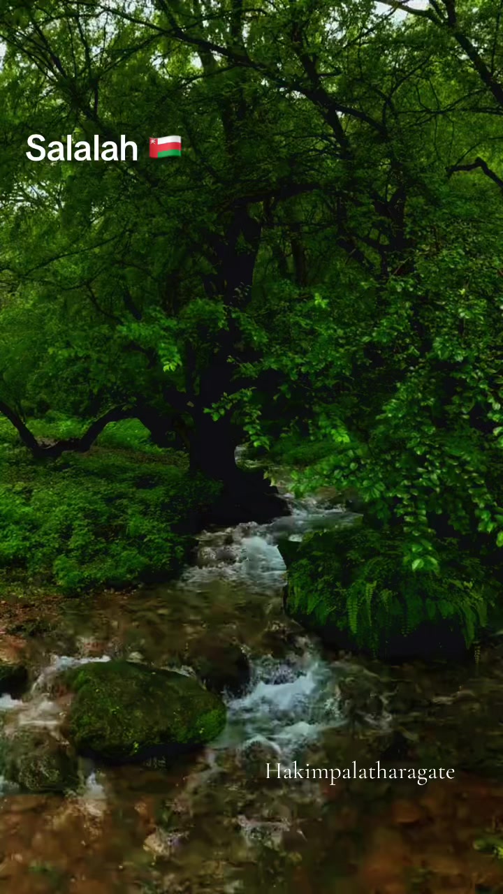 @нαкιмραℓαтнαяαgαтє