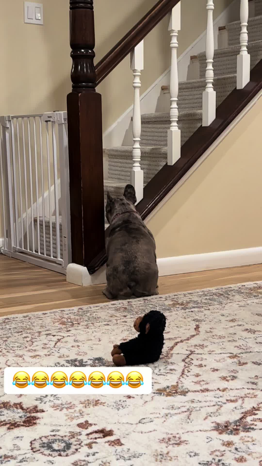 @Kiki