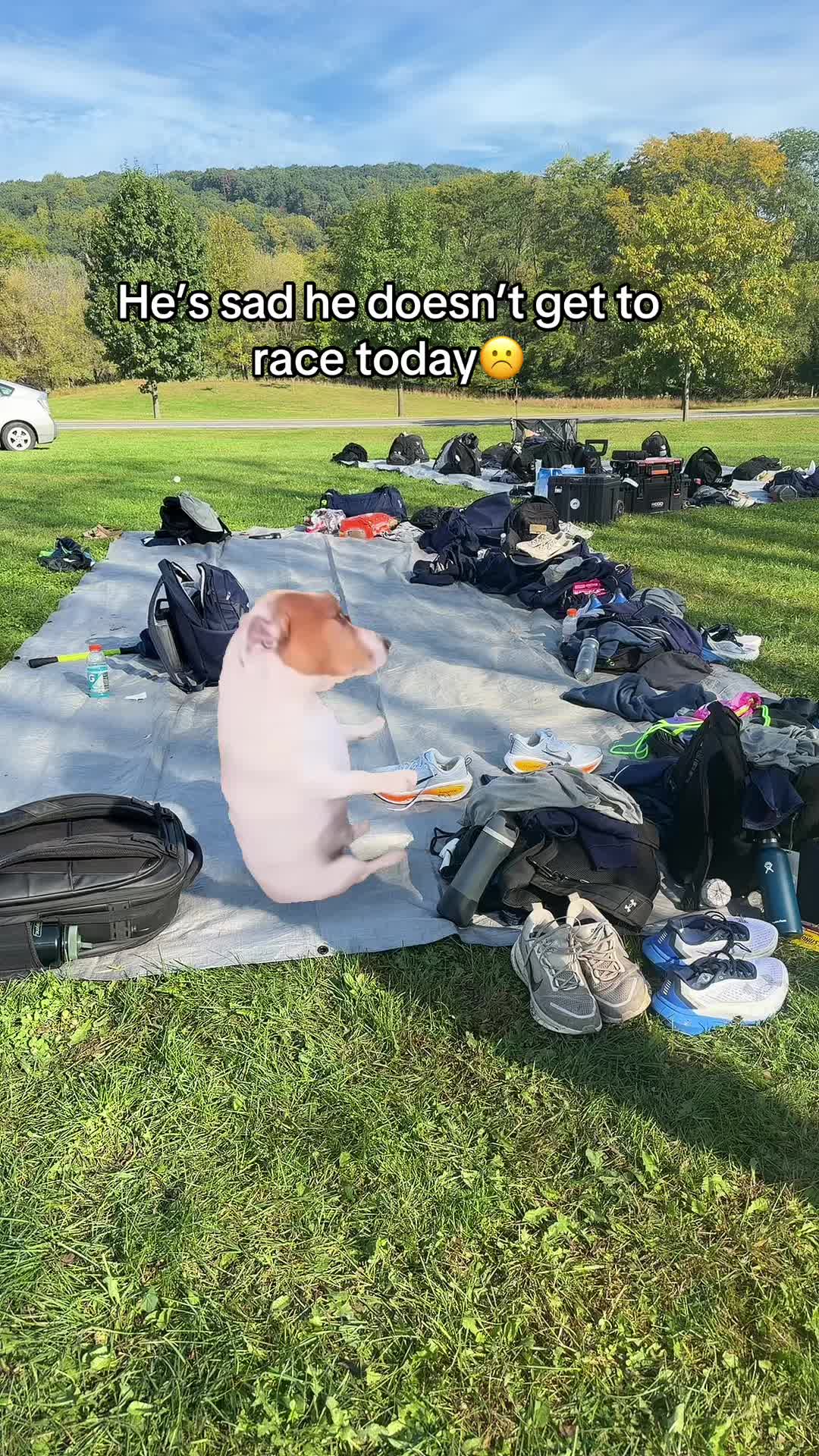 @ANDREA THE RUNNER