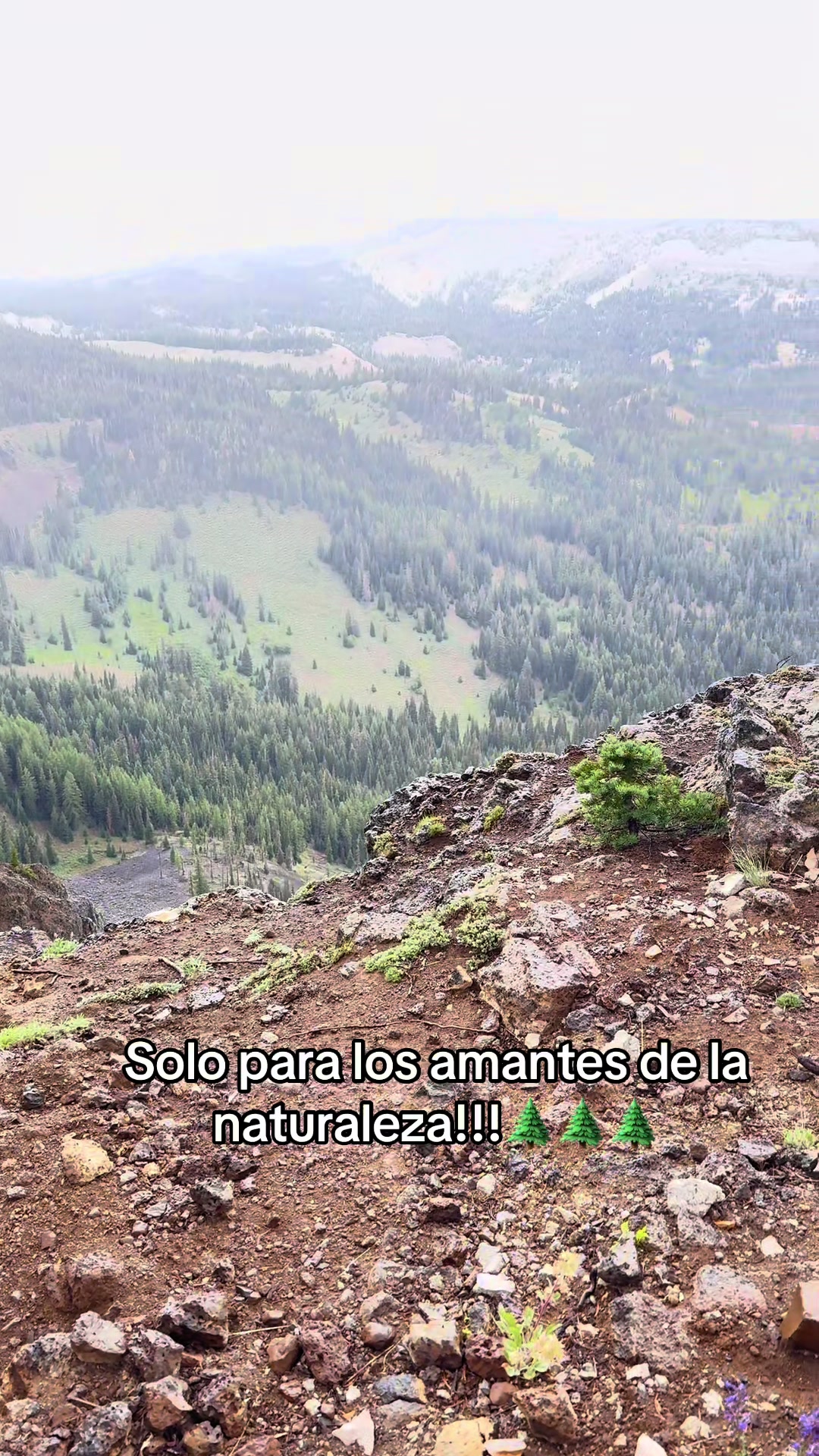 @eldiariodeGris0