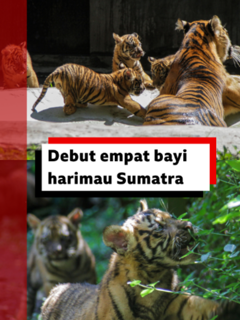 @bbcnewsindonesia