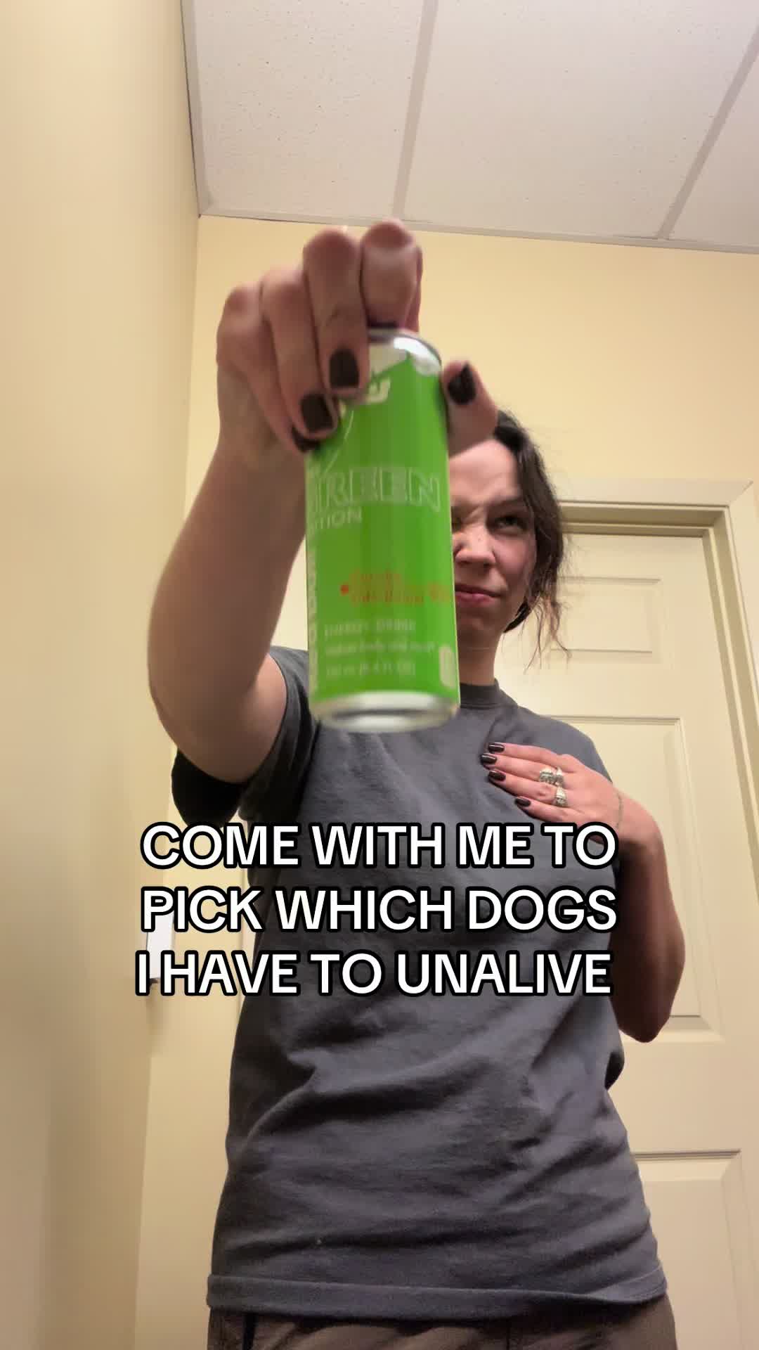 @Kayleigh + Dogs