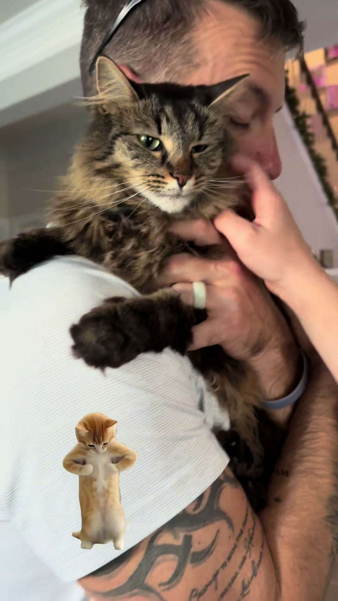 @RoxySnowballCatDrama