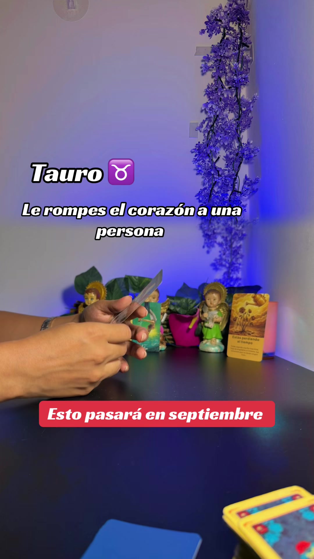 @camitarot77