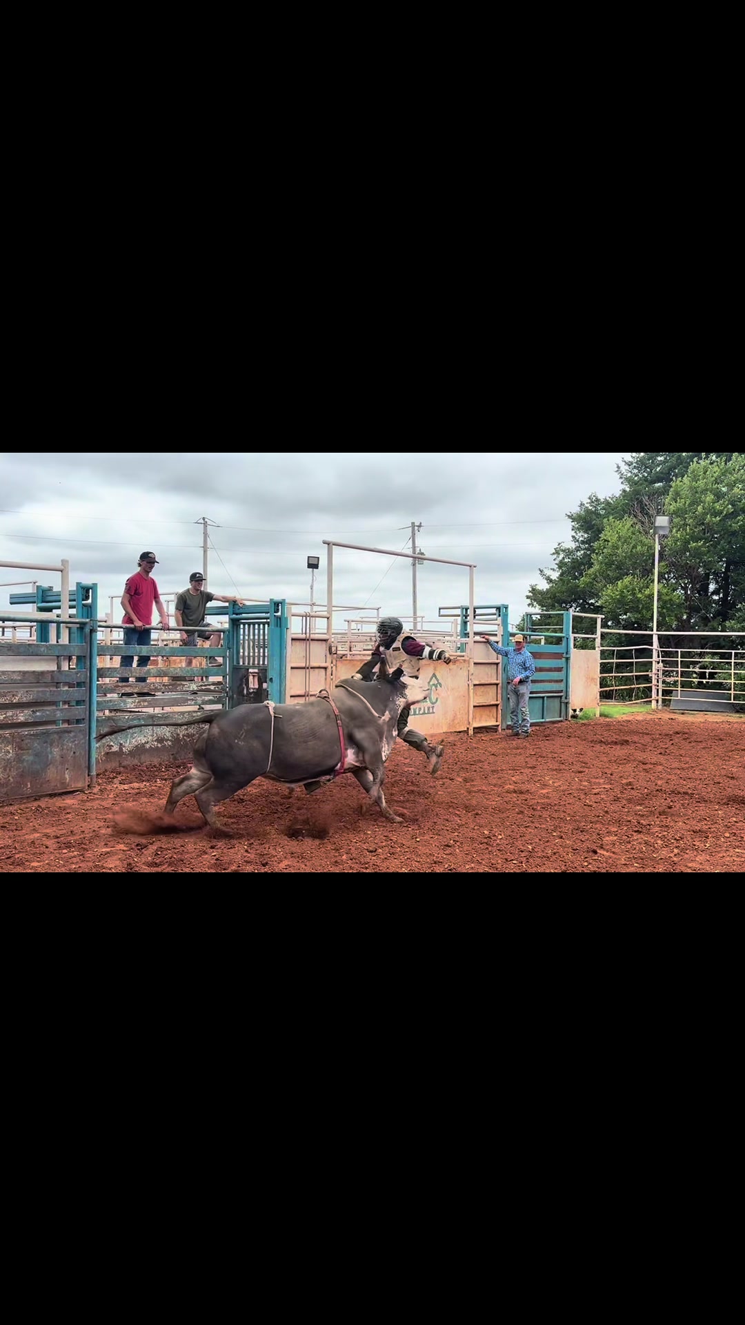 @Savi da bullhand