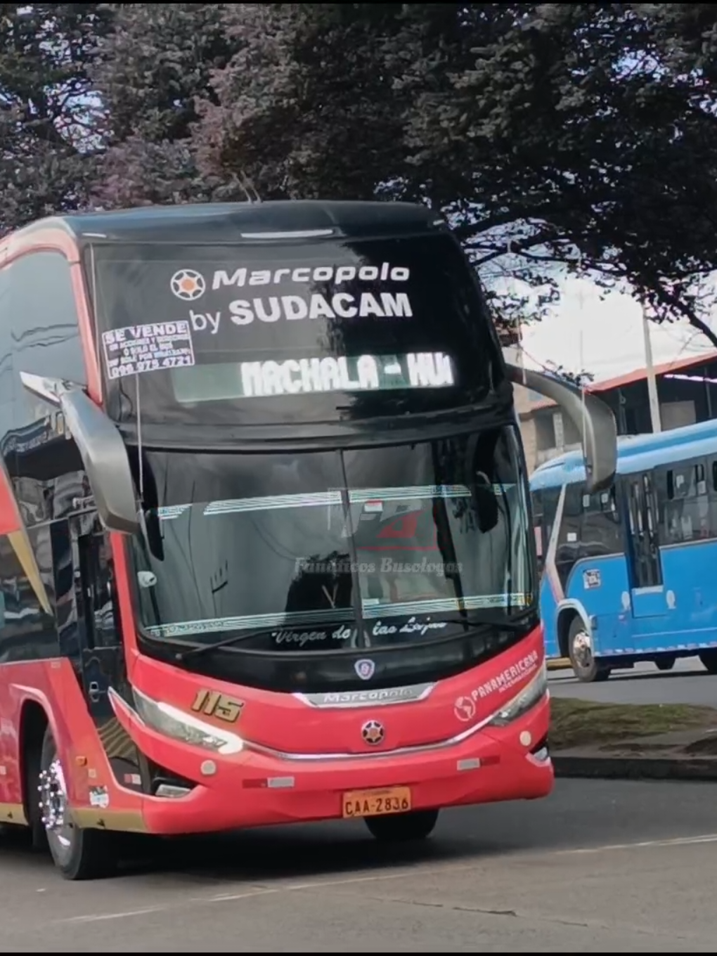 @Fanáticos Busologos 🇪🇨