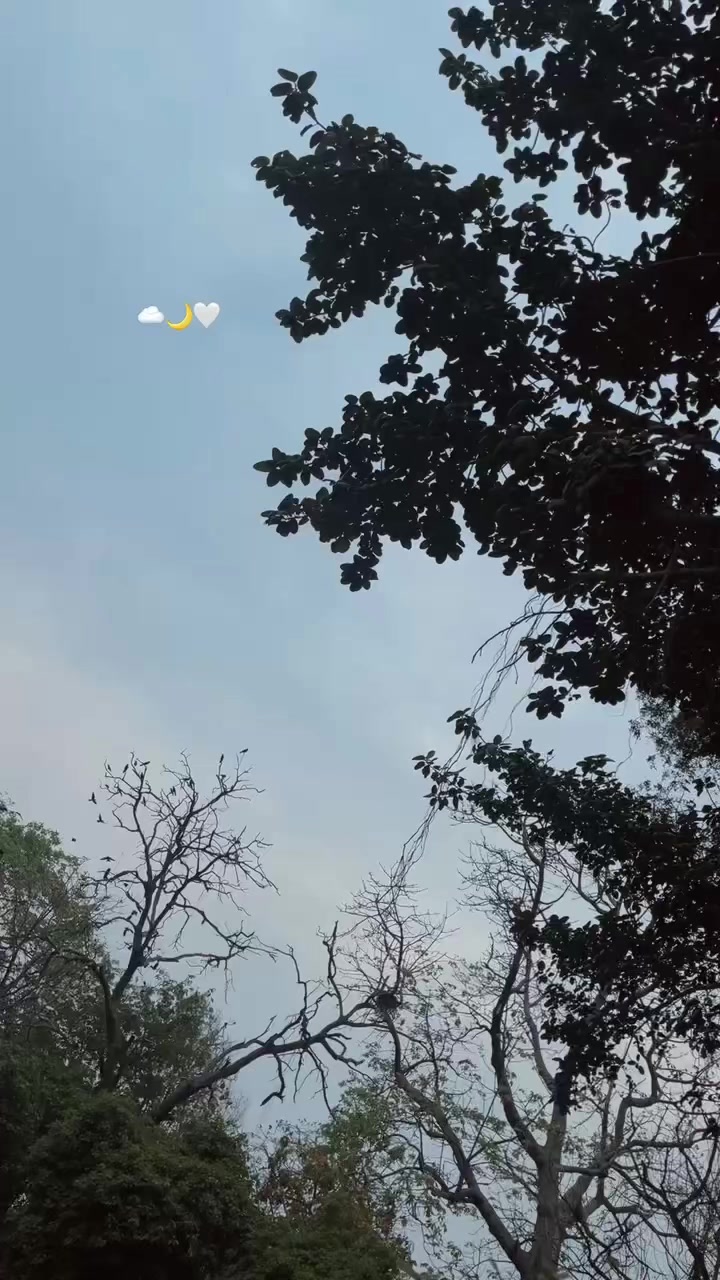 @Dijayyy✨️