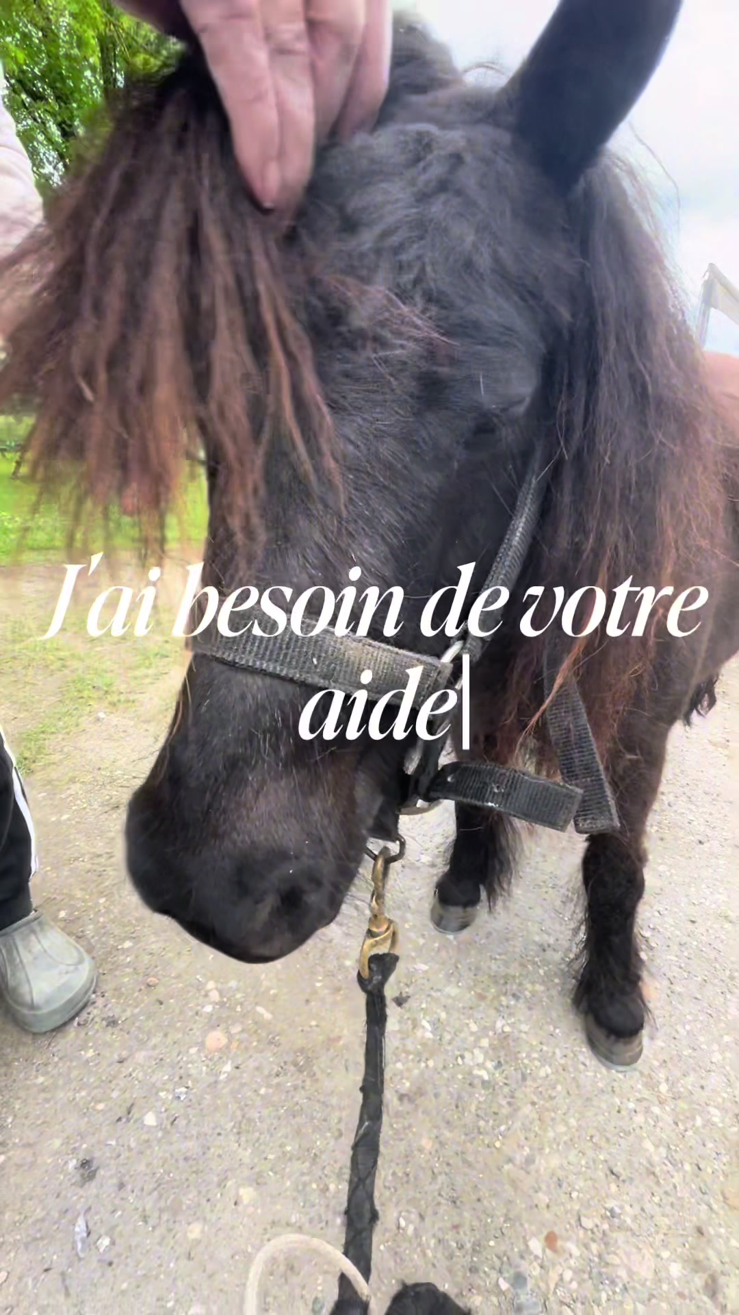 @🎀•𝒥ℴ𝓎•🎀