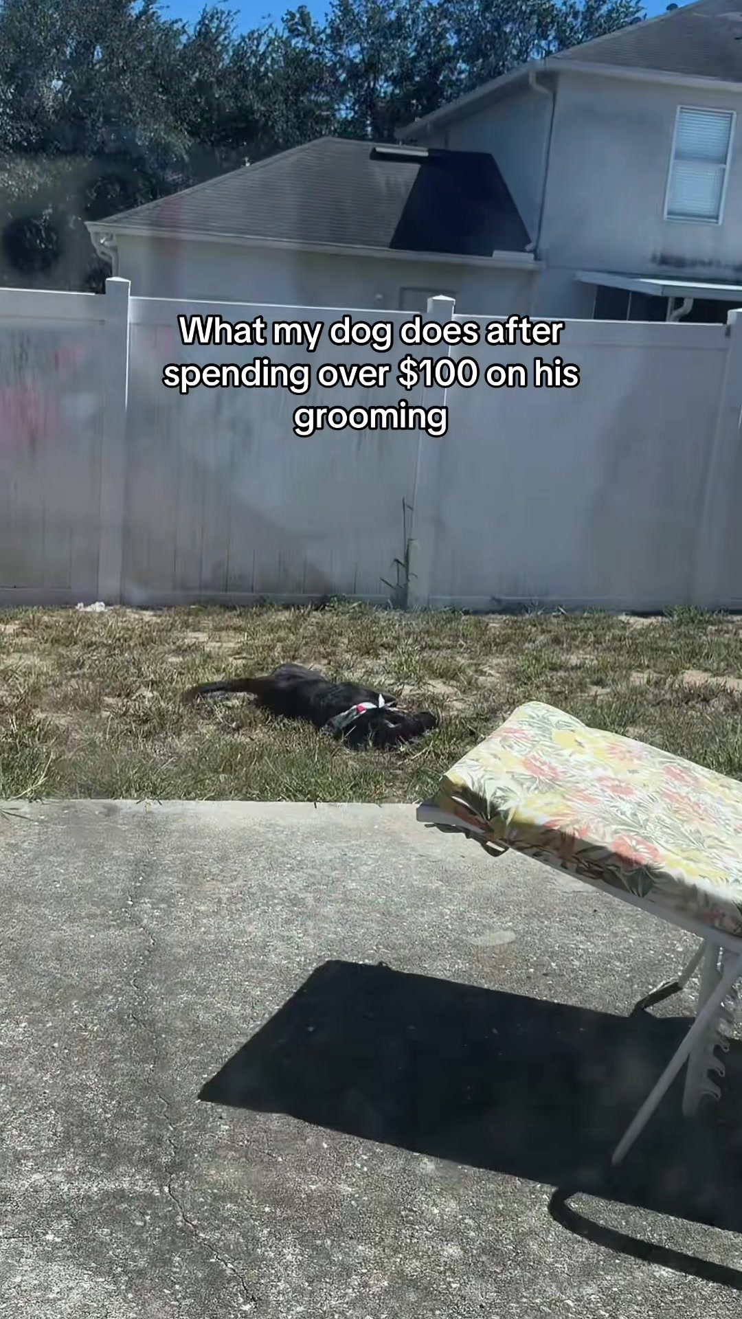 @Nayelis Cabello