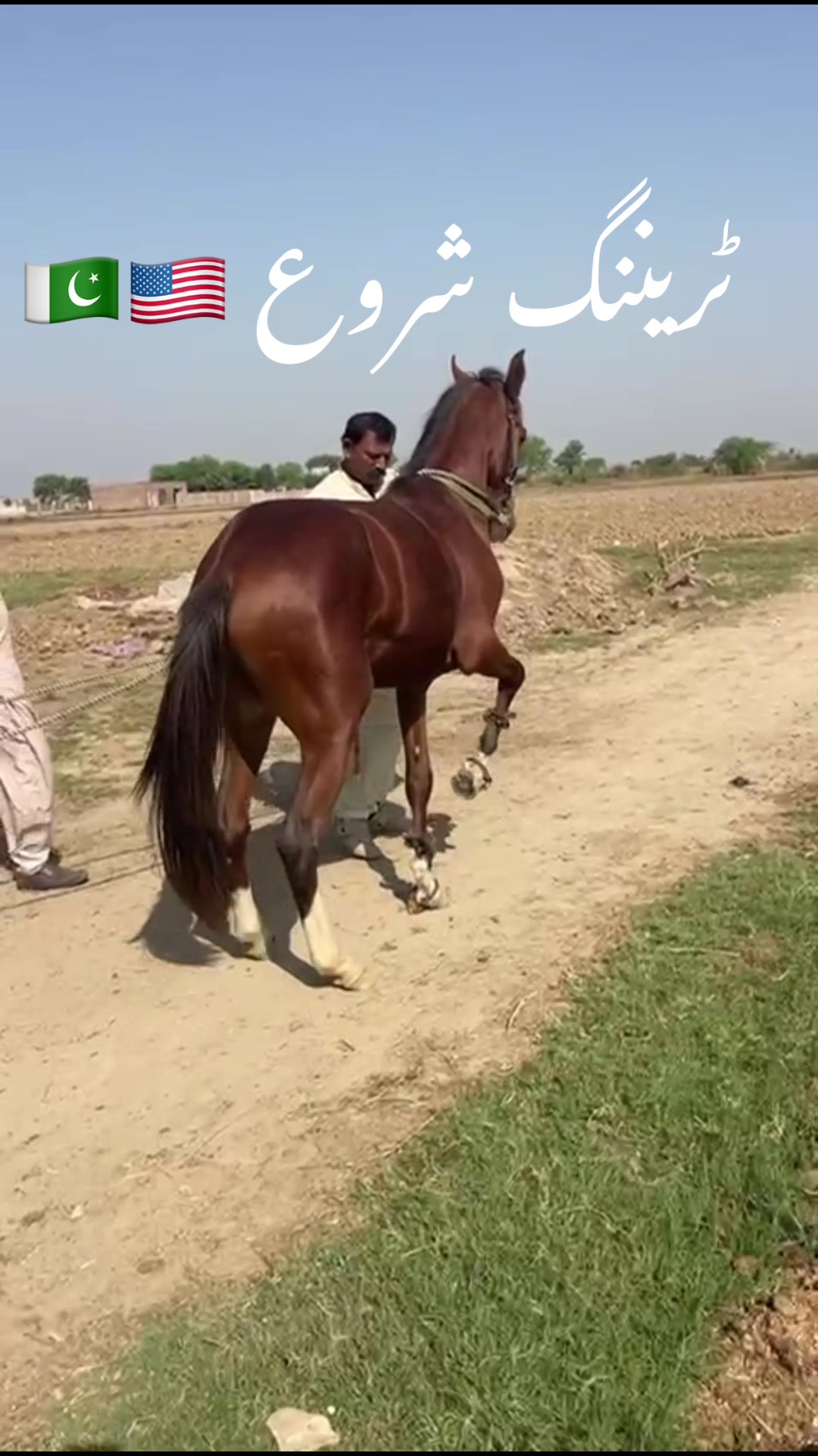 @chaudhry Farm house