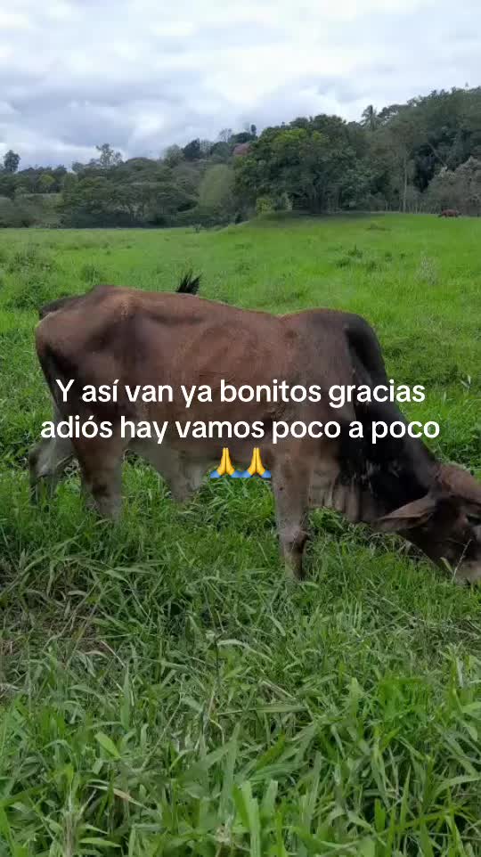 @Samir Buezo