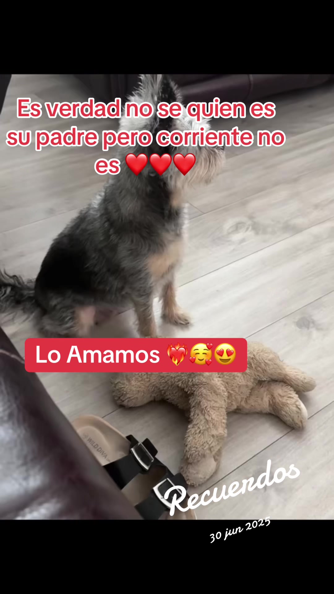 @PAULINA GUTIERREZ 🌹🍀💐🪷🥀