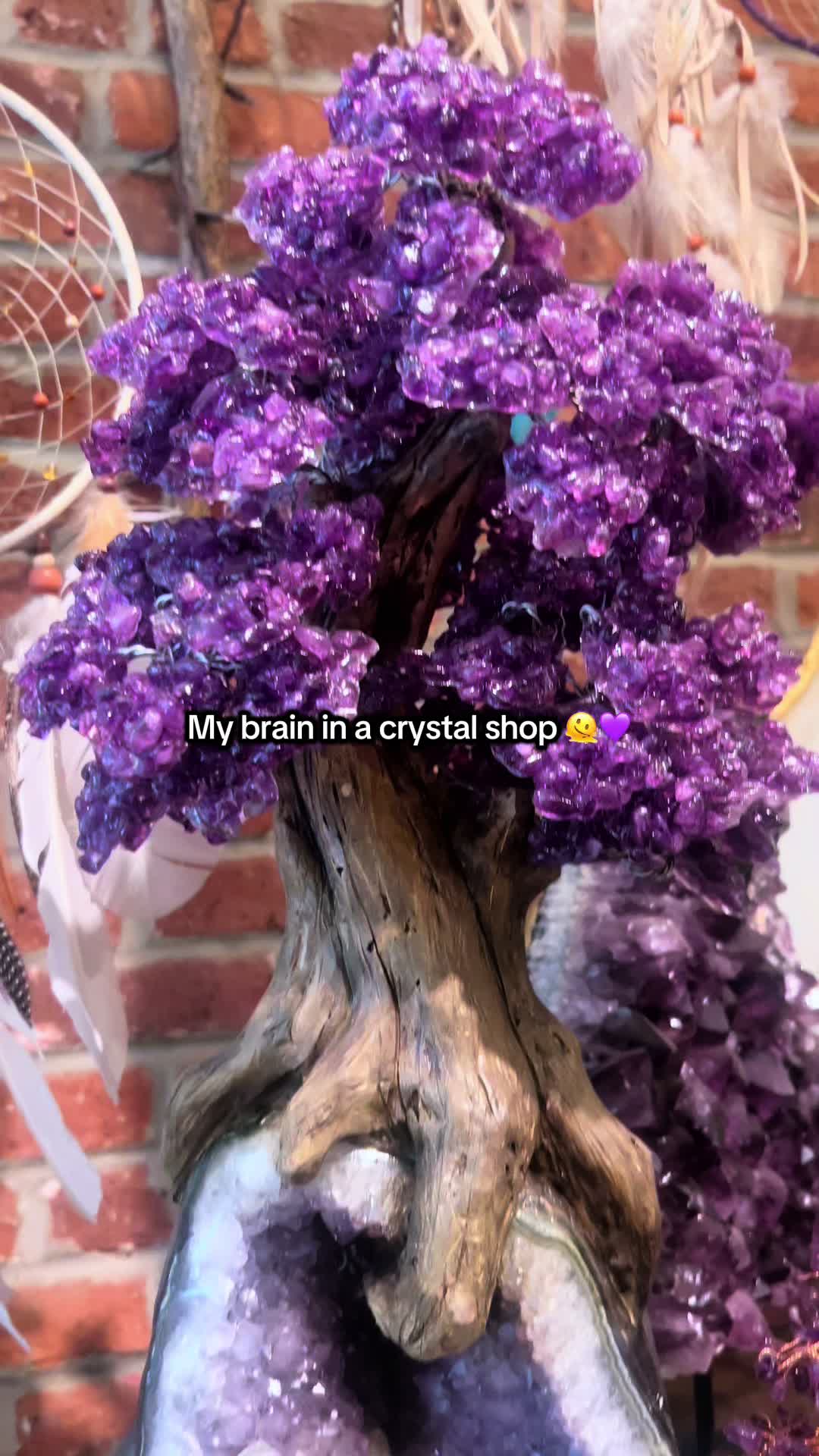 @chelseapaigemedia