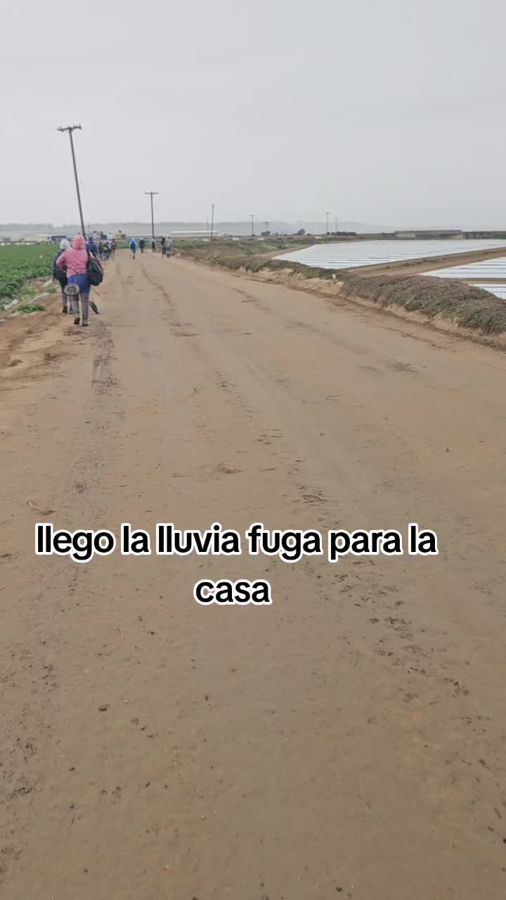 @🇲🇽🐦&zwj;⬛🪺VASQUEZ🚚🌪💎