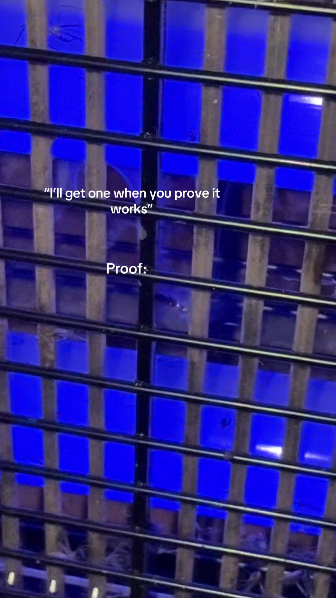 @Jawws